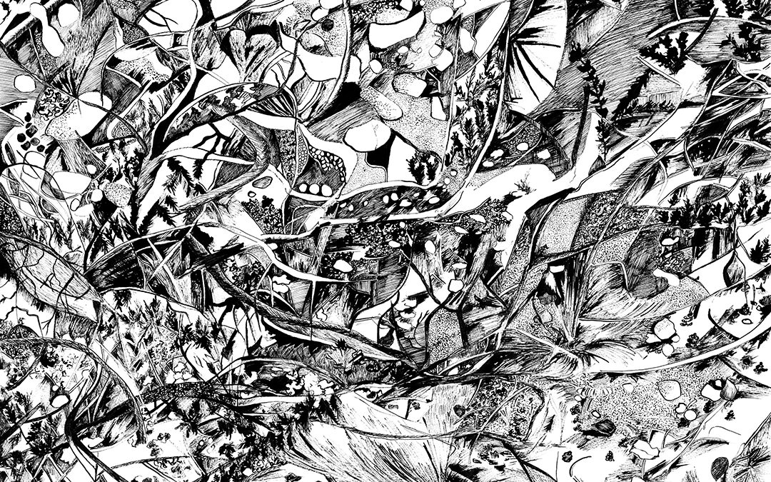 Abstraction