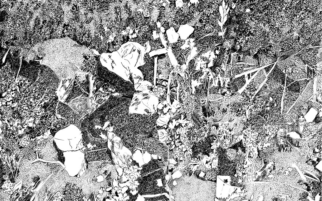 Nature foisonnante