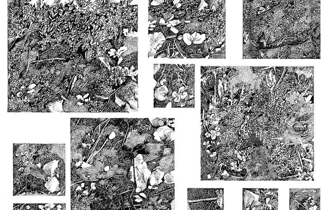 Nature foisonnante 2