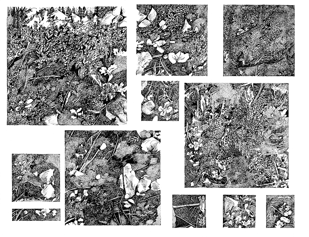 Nature foisonnante 2