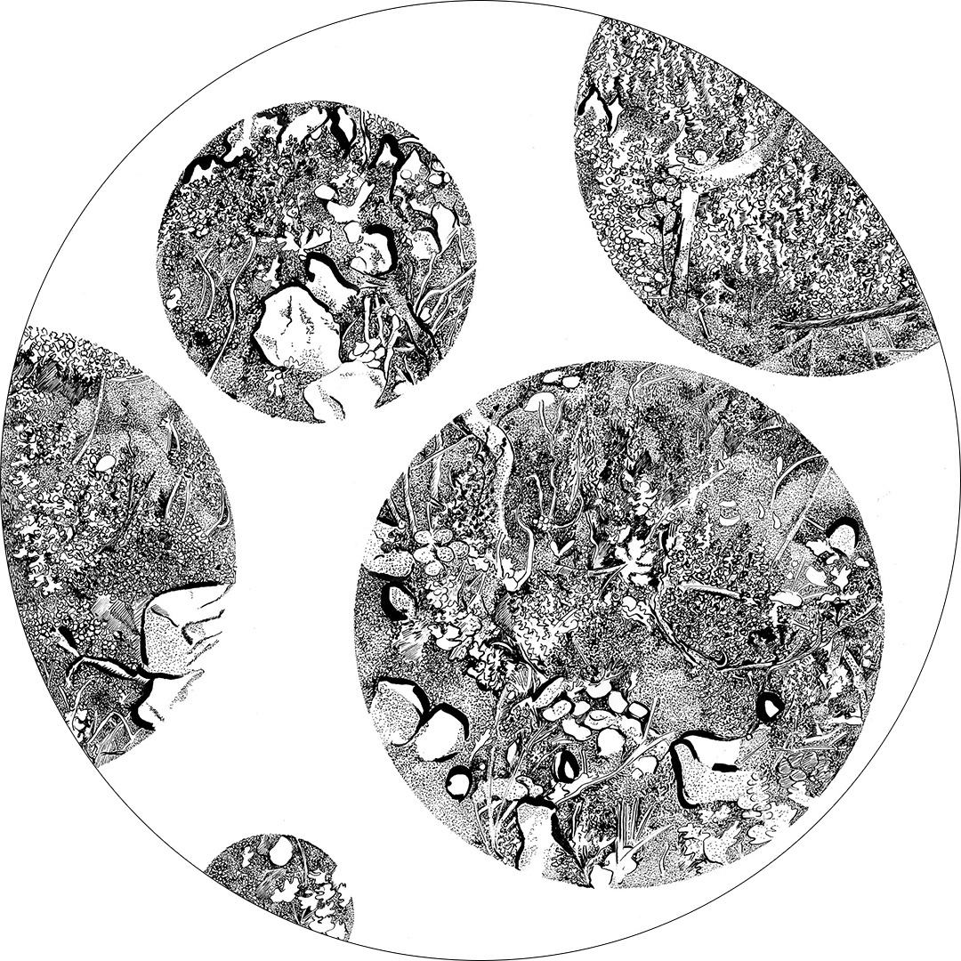 SandraVigouroux - Pierres, mousses et feuilles d'argent- 50 cm de diamètre