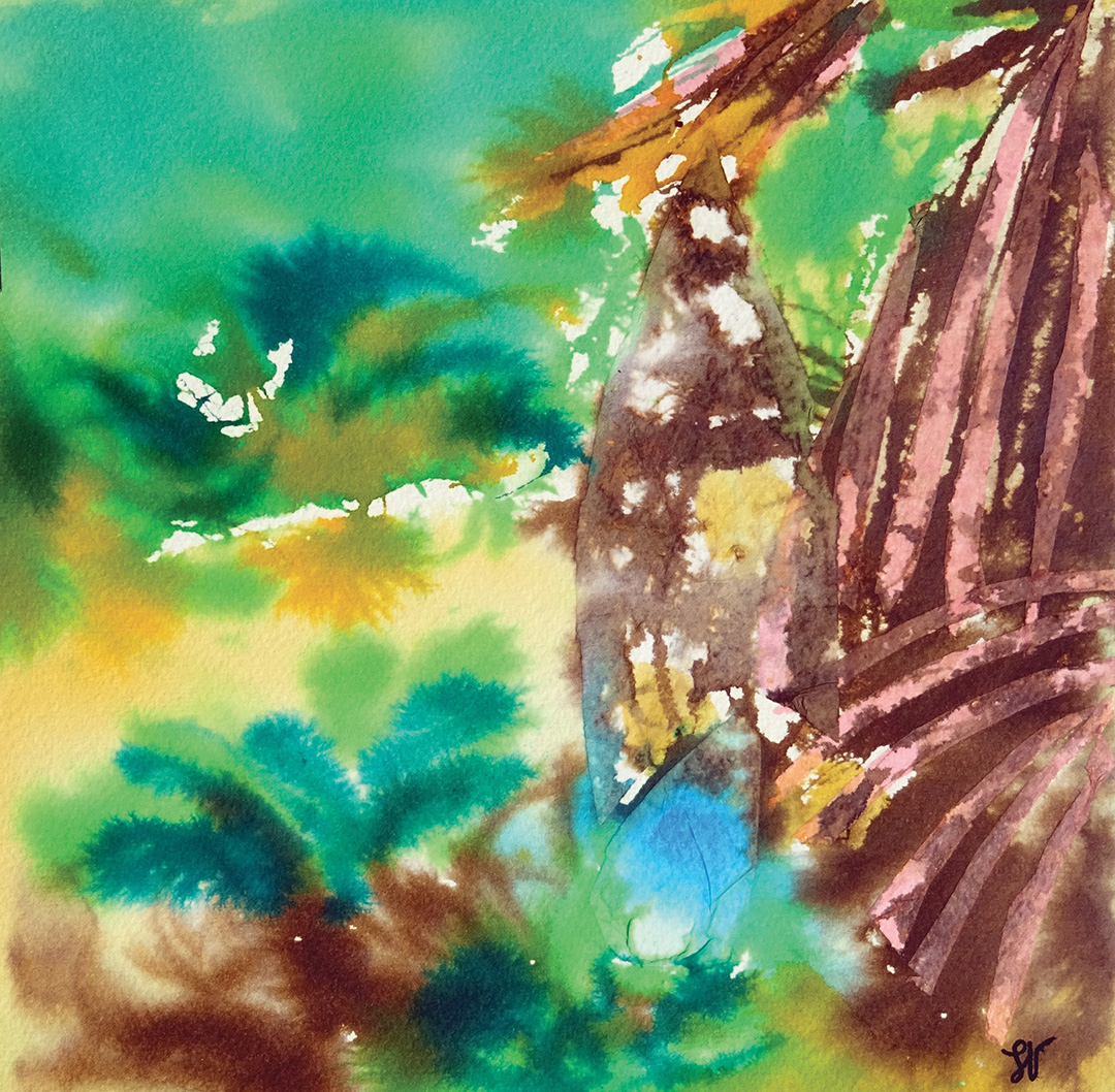la savane