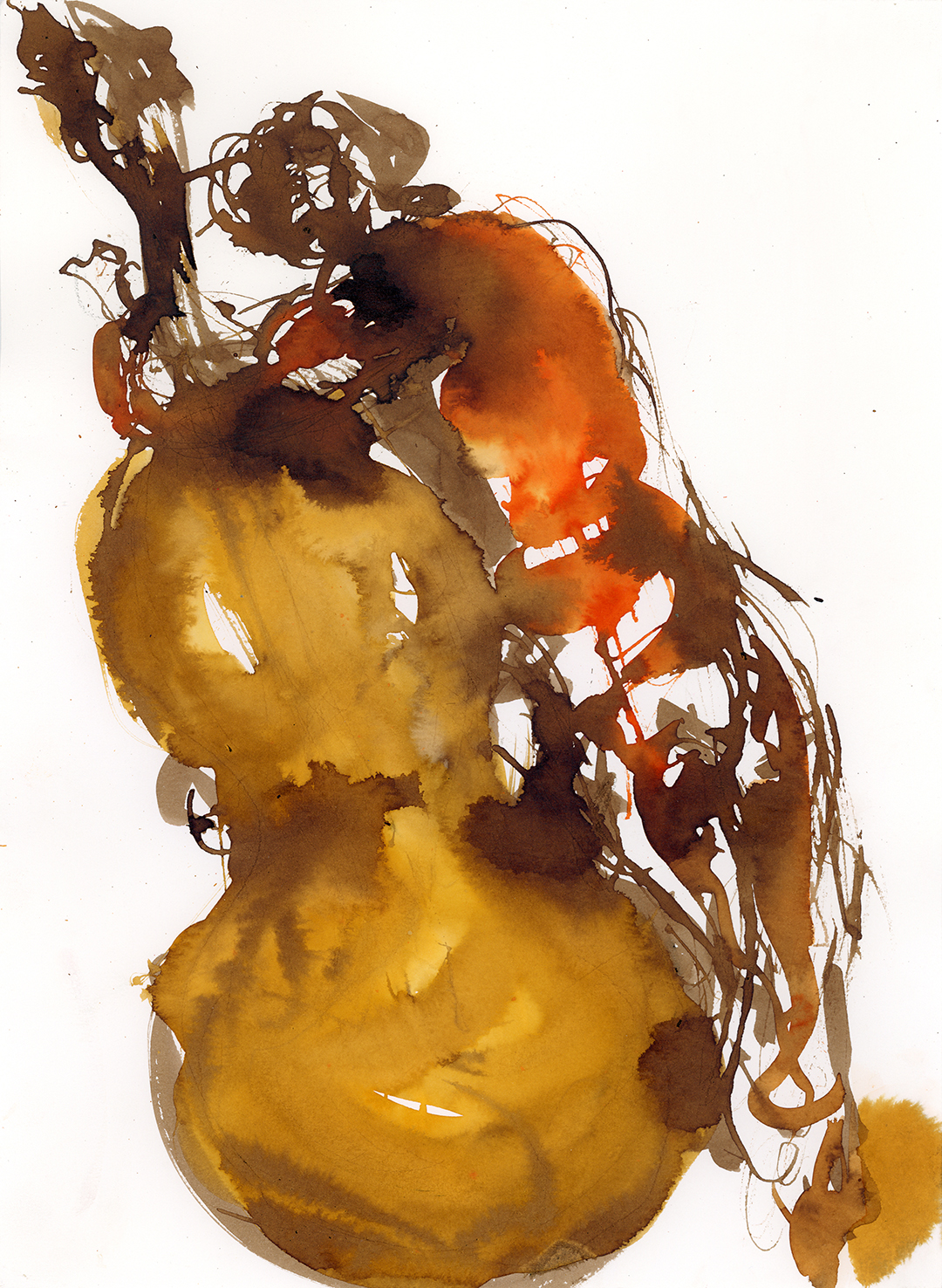 musicien violoncelle